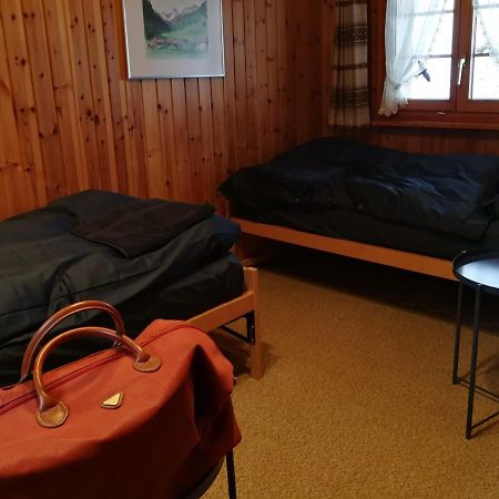 Casa Steilalva - Grosszuegiges Chalet Fuer Erholsamen Familienurlaub Surrein Eksteriør bilde