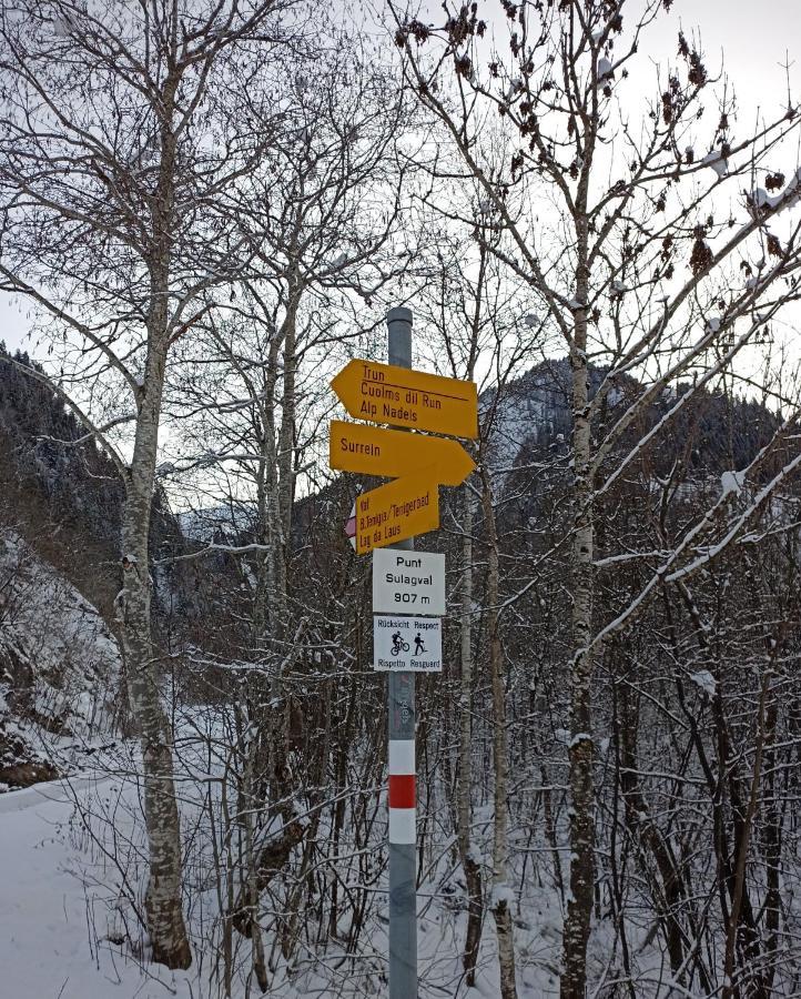 Casa Steilalva - Grosszuegiges Chalet Fuer Erholsamen Familienurlaub Surrein Eksteriør bilde